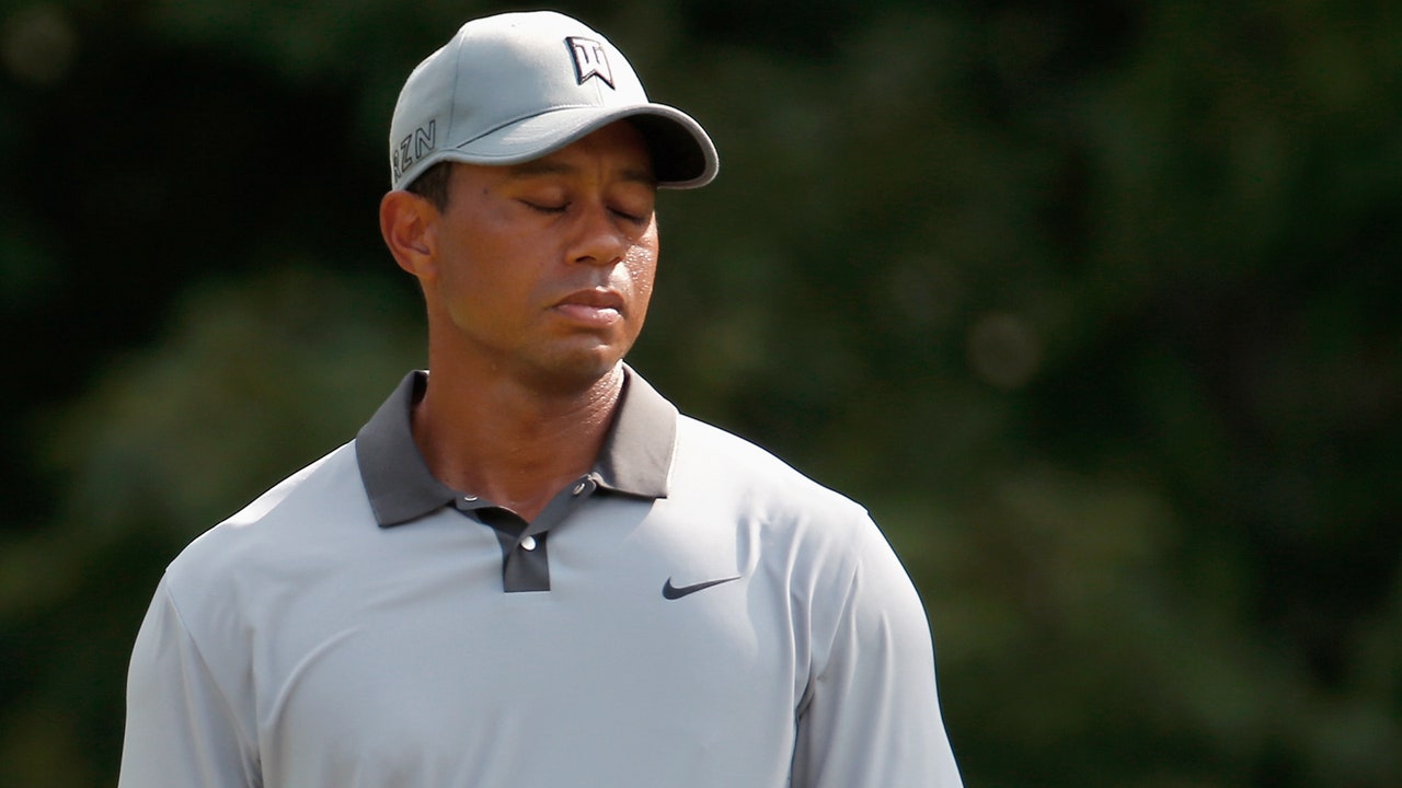 Tiger Woods two strokes behind Gore, still in contention at Wyndham